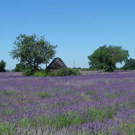 La Mordoree La Motte-d'Aigues Екстериор снимка