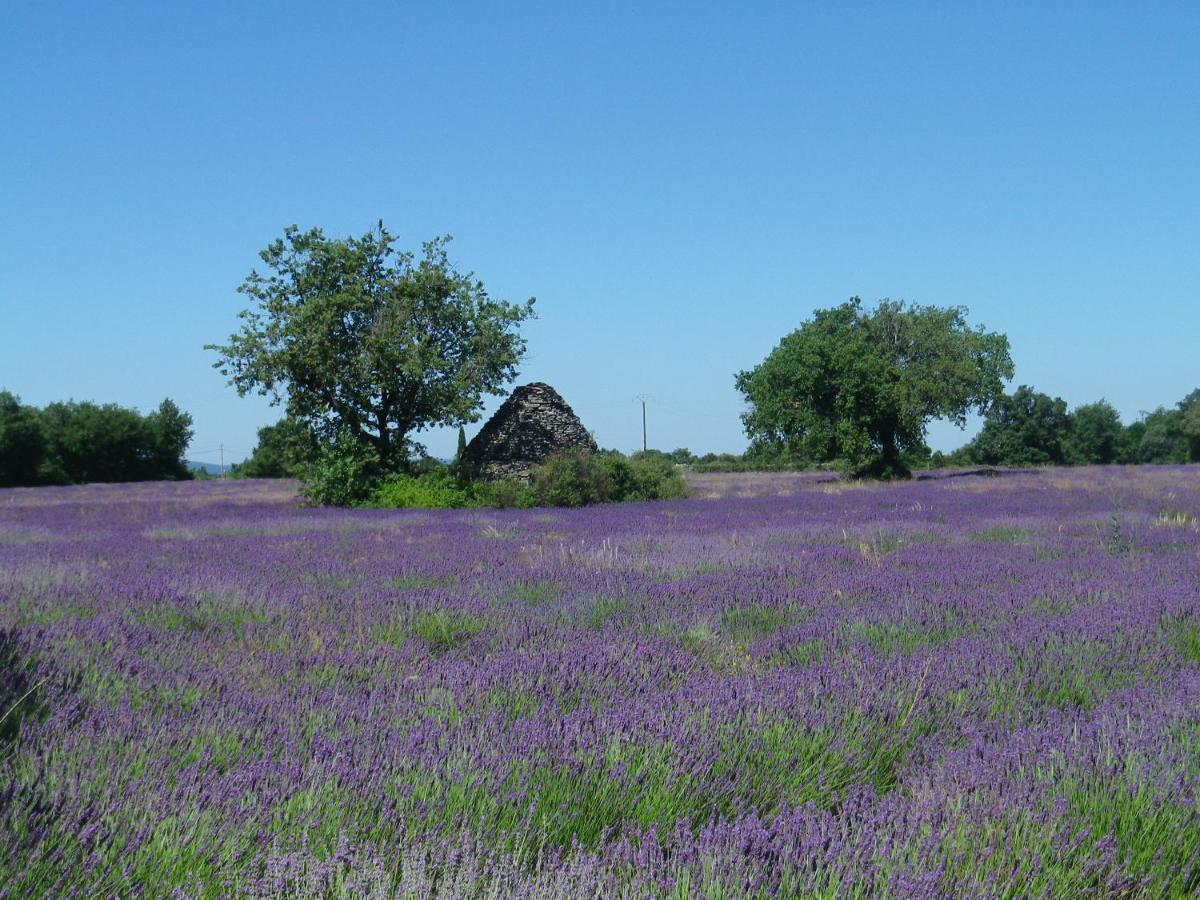 La Mordoree La Motte-d'Aigues Екстериор снимка