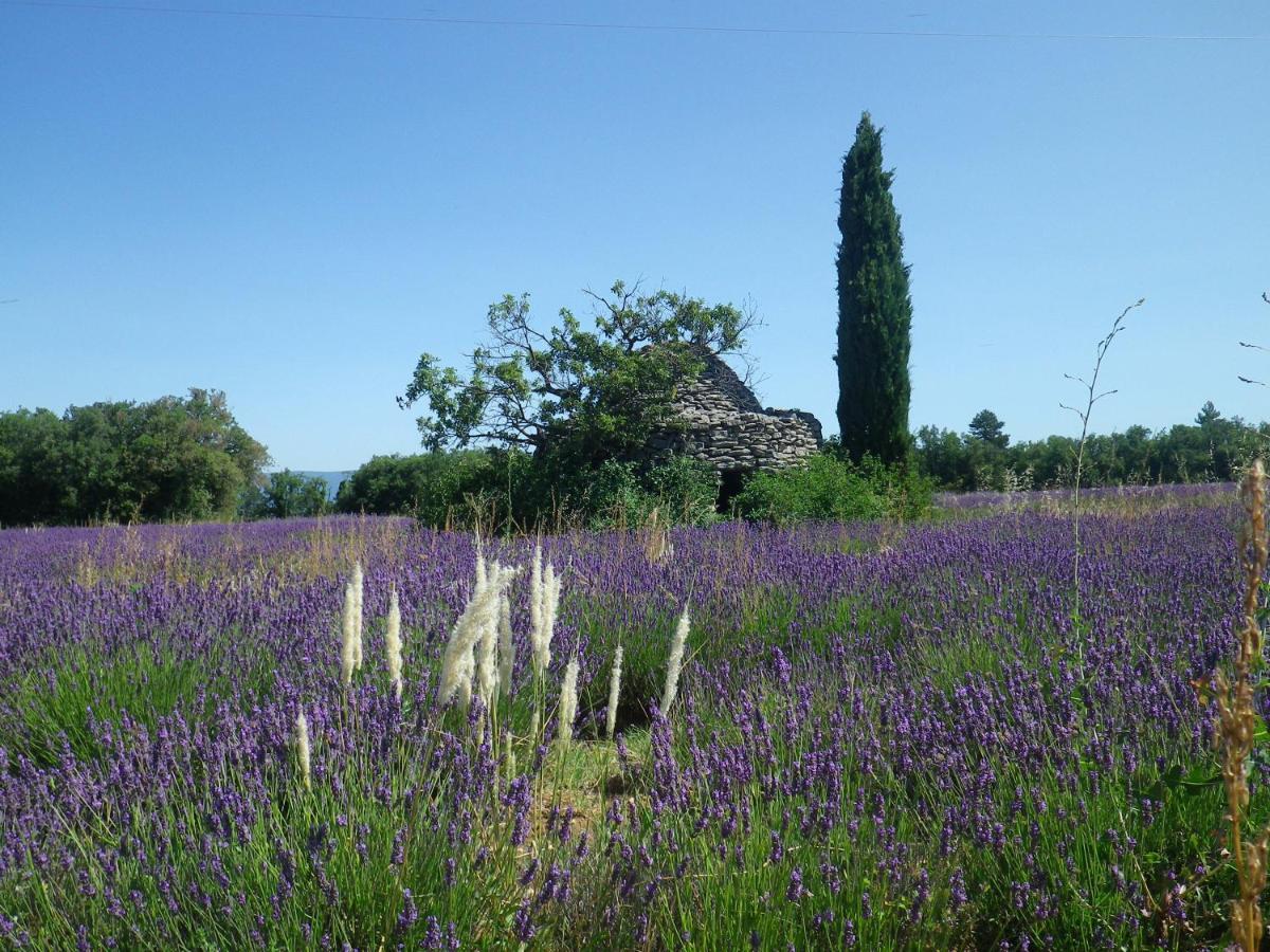 La Mordoree La Motte-d'Aigues Екстериор снимка