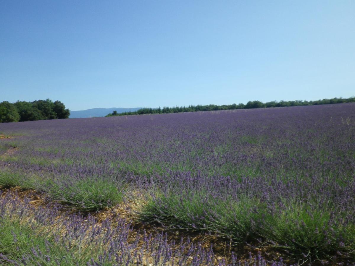 La Mordoree La Motte-d'Aigues Екстериор снимка