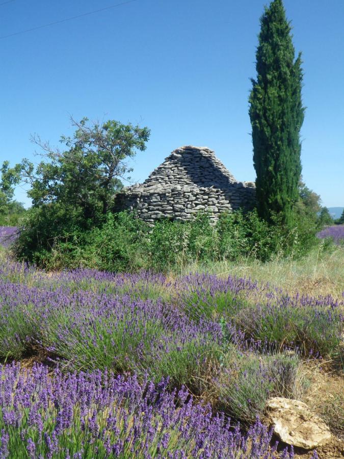 La Mordoree La Motte-d'Aigues Екстериор снимка