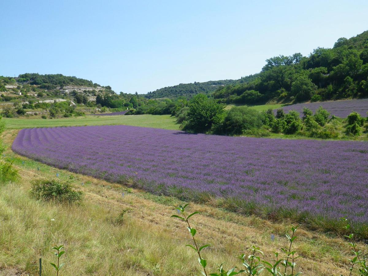 La Mordoree La Motte-d'Aigues Екстериор снимка